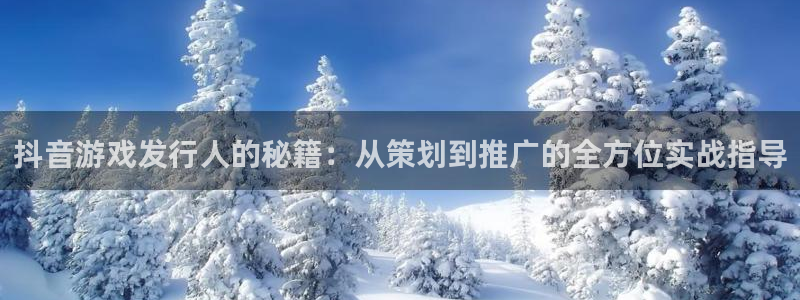 陕西im电竞子文化公司加我qq：抖音游戏发行人的秘籍：从策划到推广的全方位实战指导
