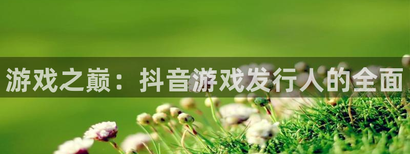 im电竞衣服怎么样：游戏之巅：抖音游戏发行人的全面