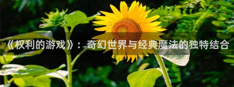 im电竞官网注册登录失败：《权利的游戏》：奇幻世界与经典魔法的独特结合