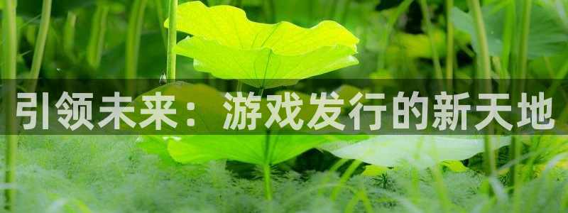 四川im电竞科技有限公司怎么样：引领未来：游戏发行的新天地