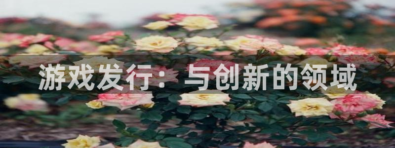 im电竞官网登录注册账号是什么样的：游戏发行：与创新的领域