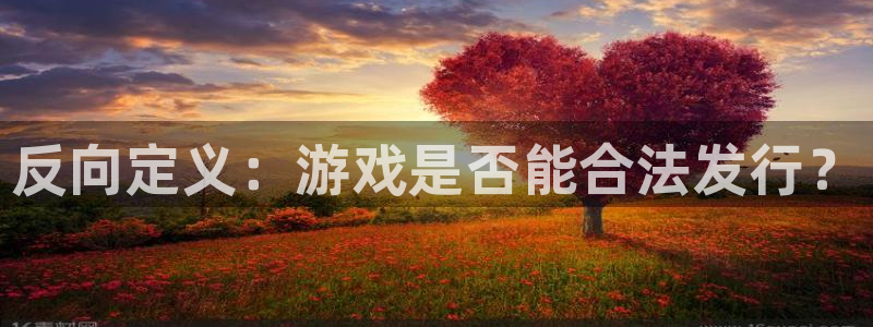 im电竞官网注册地址查询：反向定义：游戏是否能合法发行？
