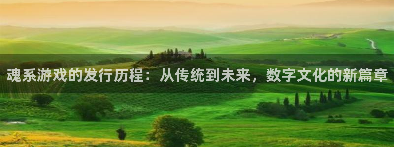 im电竞官网登录注册账号是什么：魂系游戏的发行历程：从传统到未来，数字文化的新篇章
