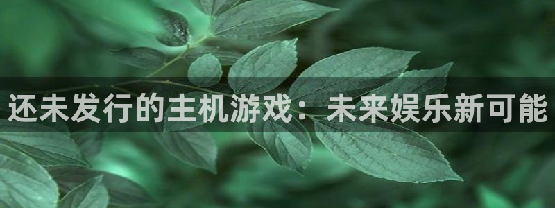 im电竞官网挂机项目怎么样可靠吗：还未发行的主机游戏：未来娱乐新可能
