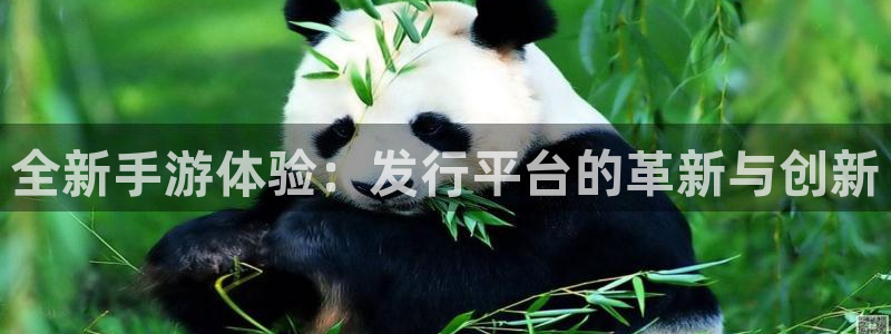 im电竞官网平台是骗局吗