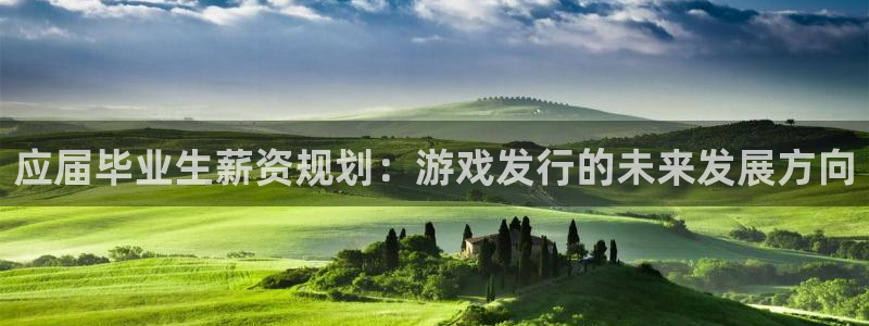 im电竞涂料(北京)有限公司：应届毕业生薪资规划：游戏发行的未来发展方向
