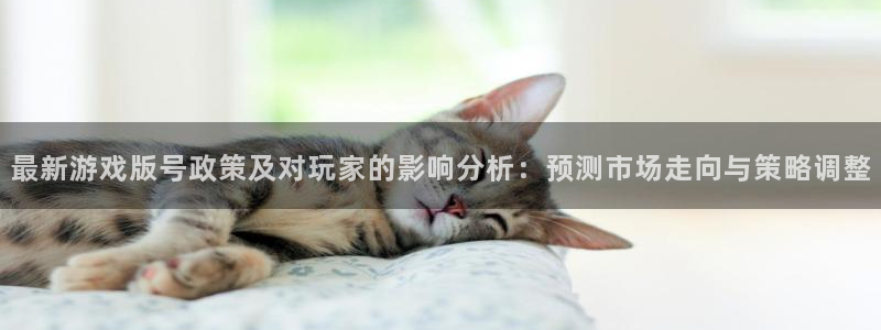 im电竞官网官网注册账号怎么注册：最新游戏版号政策及对玩家的影响分析：预测市场走向与策略调整