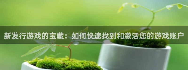 im电竞官网注册登录失败：新发行游戏的宝藏：如何快速找到和激活您的游戏账户