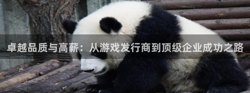 im电竞子公司怎么样可靠吗