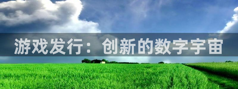 im电竞官网平台代理条件是什么