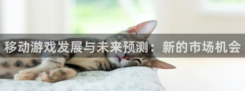 im电竞电子商务有限公司电话