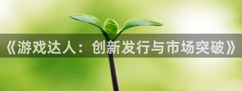 im电竞官网登录注册账号安全吗是真的吗：《游戏达人：创新发行与市场突破》