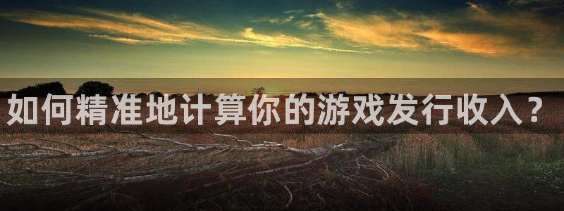 im电竞官网客服怎么样