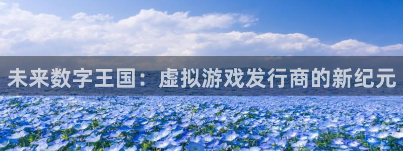 im电竞官网平台怎么样啊：未来数字王国：虚拟游戏发行商的新纪元